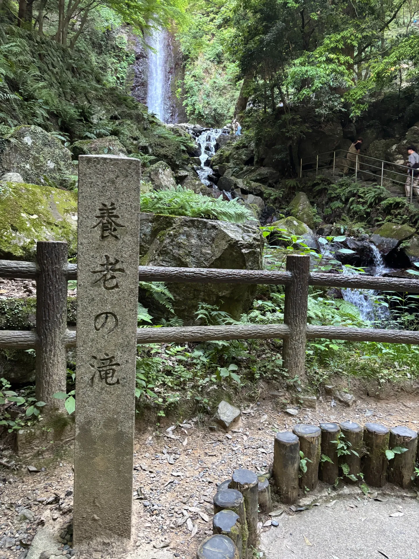 愛犬2匹と養老の滝へ!心地よい涼しさで頭もスッキリ
